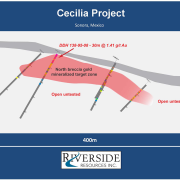 Cecilia North Breccia Target Section