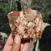 Cecilia North Breccia Gold Mineralization